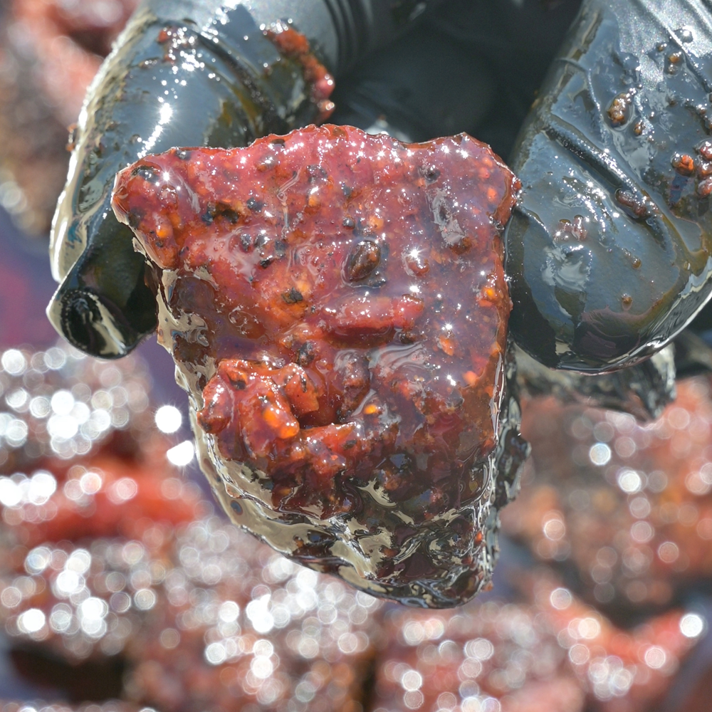 Chuck Roast Burnt Ends